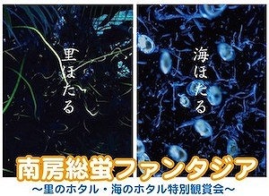 蛍ファンタジア2017